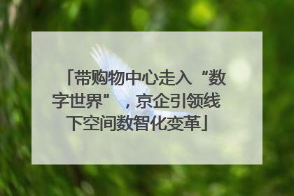 带购物中心走入“数字世界”,京企引领线下空间数智化变革