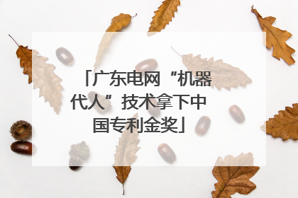 广东电网“机器代人”技术拿下中国专利金奖
