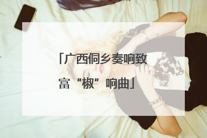 广西侗乡奏响致富“椒”响曲