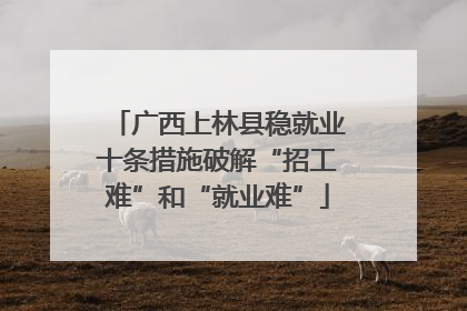 广西上林县稳就业十条措施破解“招工难”和“就业难”