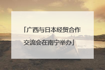广西与日本经贸合作交流会在南宁举办