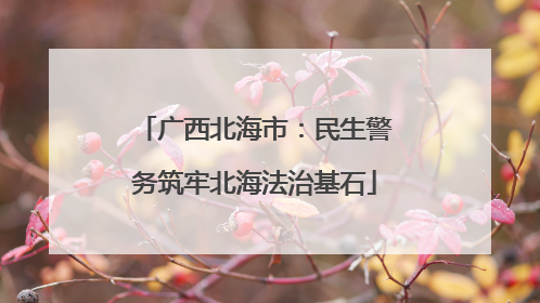 广西北海市：民生警务筑牢北海法治基石