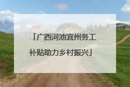 广西河池宜州务工补贴助力乡村振兴