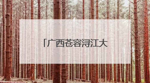 广西苍容浔江大桥完成钢箱梁环缝焊接 将进入桥面铺装阶段