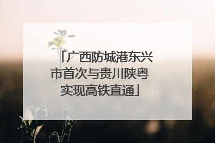 广西防城港东兴市首次与贵川陕粤实现高铁直通