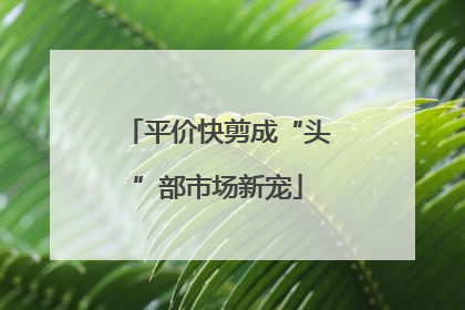 平价快剪成“头”部市场新宠