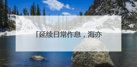 延续日常作息，海亦丰教育集团近600名高考生上起晚自习