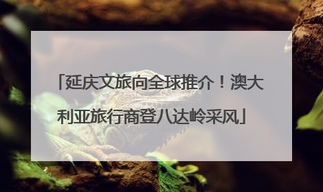 延庆文旅向全球推介！澳大利亚旅行商登八达岭采风
