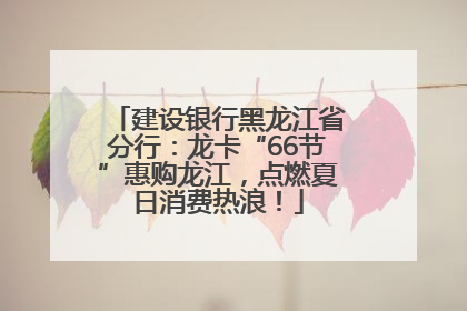 建设银行黑龙江省分行：龙卡“66节”惠购龙江，点燃夏日消费热浪！