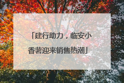 建行助力，临安小香薯迎来销售热潮