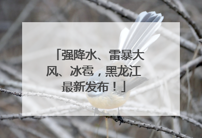 强降水、雷暴大风、冰雹，黑龙江最新发布！