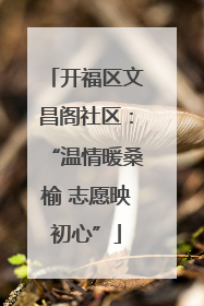 开福区文昌阁社区：“温情暖桑榆 志愿映初心”