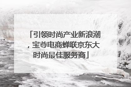 引领时尚产业新浪潮，宝尊电商蝉联京东大时尚最佳服务商