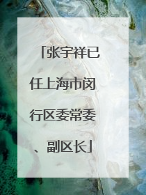 张宇祥已任上海市闵行区委常委、副区长