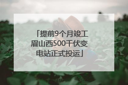 提前9个月竣工 眉山西500千伏变电站正式投运