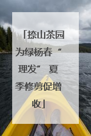 捺山茶园为绿杨春“理发” 夏季修剪促增收