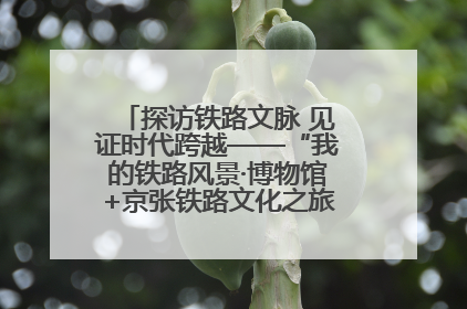 探访铁路文脉 见证时代跨越——“我的铁路风景·博物馆+京张铁路文化之旅”活动在京启动