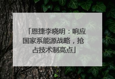 恩捷李晓明：响应国家系能源战略，抢占技术制高点