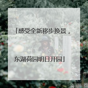 感受全新移步换景，东湖荷园明日开园