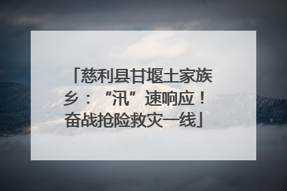 慈利县甘堰土家族乡：“汛”速响应！奋战抢险救灾一线