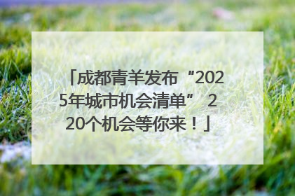 成都青羊发布“2025年城市机会清单” 220个机会等你来！