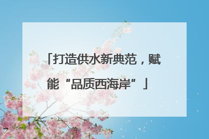 打造供水新典范，赋能“品质西海岸”