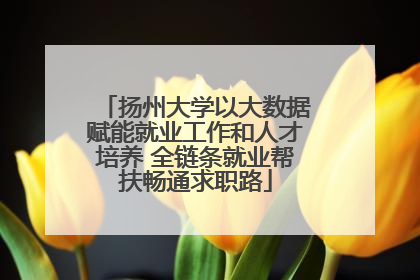扬州大学以大数据赋能就业工作和人才培养 全链条就业帮扶畅通求职路