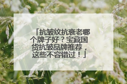 抗皱纹抗衰老哪个牌子好？宝藏国货抗皱品牌推荐，这些不容错过！