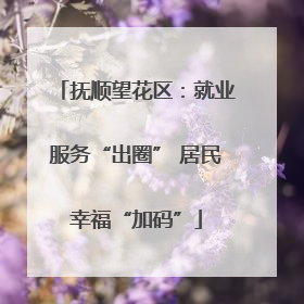 抚顺望花区：就业服务“出圈” 居民幸福“加码”