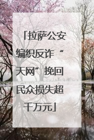 拉萨公安编织反诈“天网”挽回民众损失超千万元