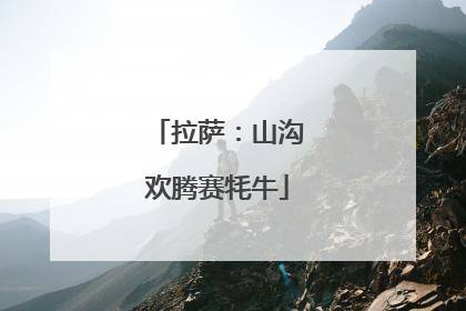 拉萨：山沟欢腾赛牦牛