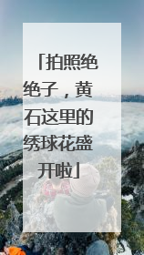 拍照绝绝子，黄石这里的绣球花盛开啦