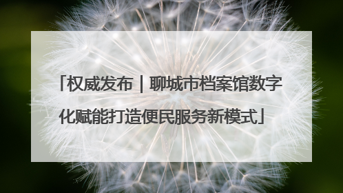 权威发布｜聊城市档案馆数字化赋能打造便民服务新模式