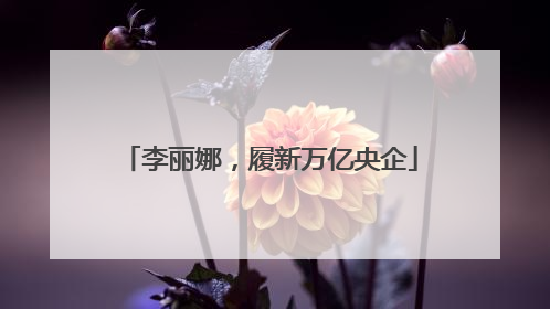 李丽娜，履新万亿央企