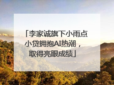 李家诚旗下小雨点小贷拥抱AI热潮，取得亮眼成绩