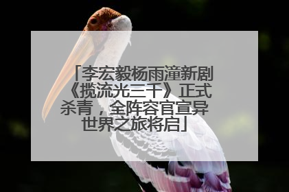 李宏毅杨雨潼新剧《揽流光三千》正式杀青，全阵容官宣异世界之旅将启