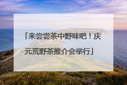 来尝尝茶中野味吧！庆元荒野茶推介会举行