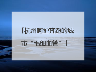 杭州呵护奔跑的城市“毛细血管”