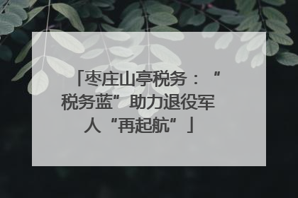 枣庄山亭税务：“税务蓝”助力退役军人“再起航”