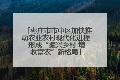枣庄市市中区加快推动农业农村现代化进程 形成“振兴乡村 增收富农”新格局