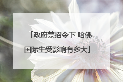 政府禁招令下 哈佛国际生受影响有多大
