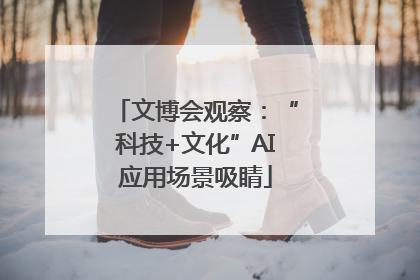 文博会观察：“科技+文化”AI应用场景吸睛