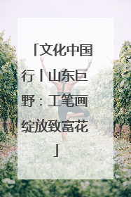 文化中国行丨山东巨野：工笔画绽放致富花
