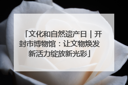文化和自然遗产日｜开封市博物馆：让文物焕发新活力绽放新光彩