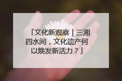 文化新观察｜三湘四水间，文化遗产何以焕发新活力？
