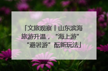 文旅观察丨山东滨海旅游升温，“海上游”“避暑游”酝新玩法