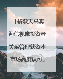 斩获天马奖 海信视像投资者关系管理获资本市场高度认可