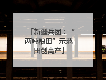 新疆兵团：“两吨粮田”示范田创高产