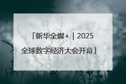 新华全媒+｜2025全球数字经济大会开幕