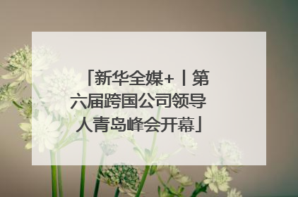 新华全媒+丨第六届跨国公司领导人青岛峰会开幕